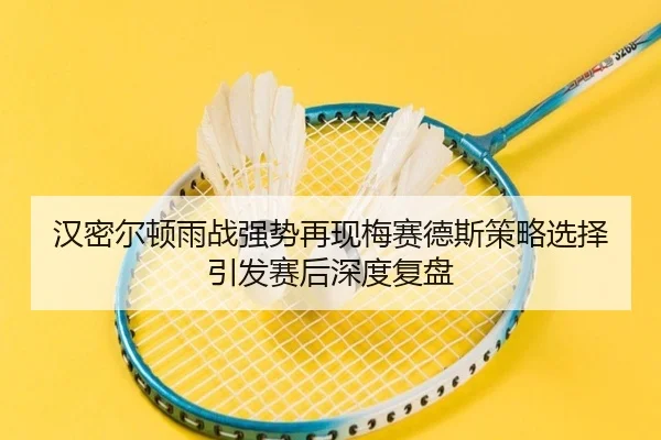 汉密尔顿雨战强势再现梅赛德斯策略选择引发赛后深度复盘